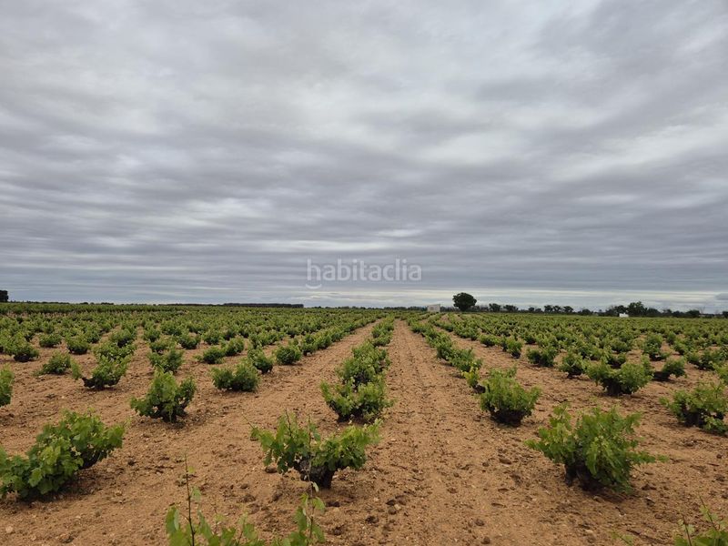 Foto 6404d59b-ee7e-4098-910f-7f8c70392637. Finca rústica a Socuéllamos