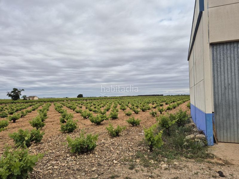 Foto c59a1d2b-aca0-4a3d-8c17-d3edd2452c2e. Finca rústica a Socuéllamos