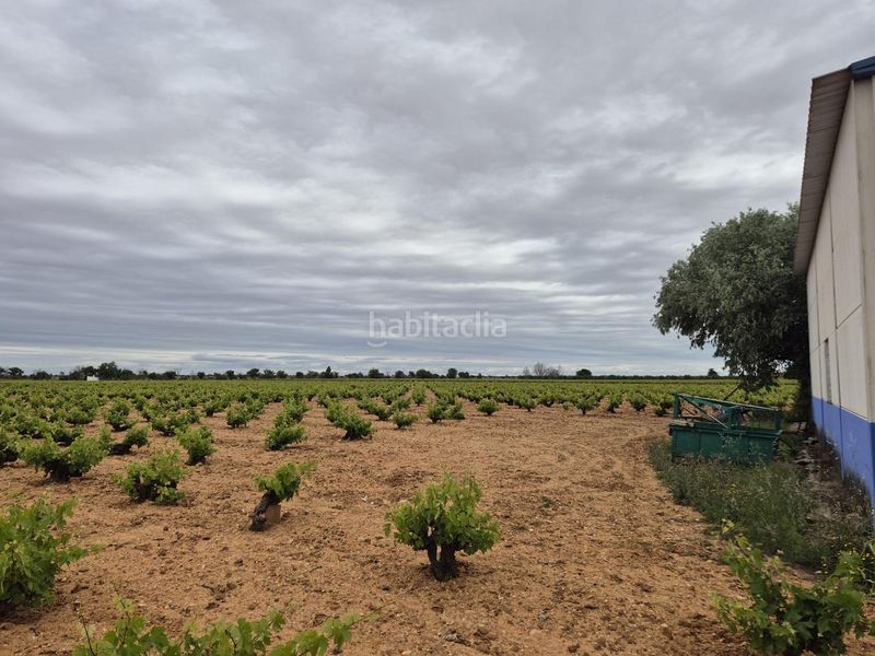 Foto db4e6bbc-997f-410e-8d3c-860d352a73ed. Finca rústica a Socuéllamos