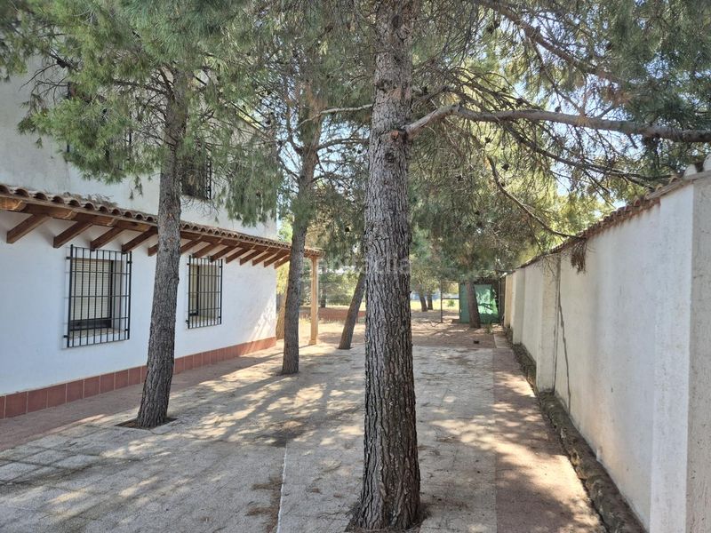 Foto 48986c97-c47c-43a1-83b6-f697812b9964. Masia amb piscina a Campo de Criptana