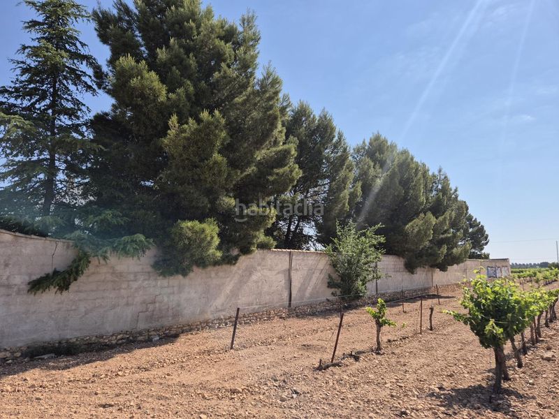 Foto 514c8047-b595-475a-ab68-2ef148958ef5. Masia amb piscina a Campo de Criptana