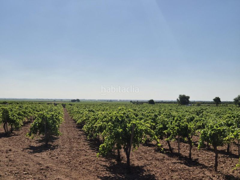 Foto 1869b5c1-2512-46a3-94d0-df925bd50c3e. Finca rústica a Campo de Criptana