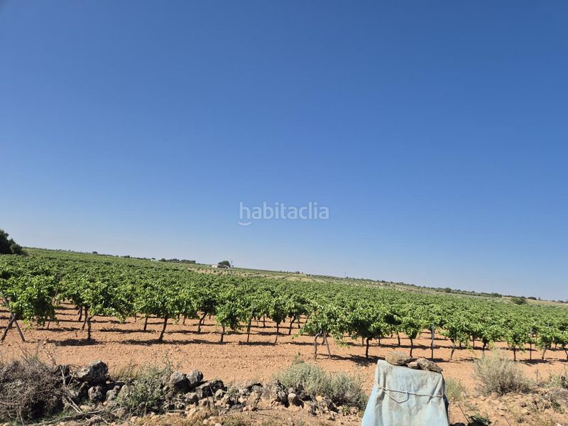 Foto 4694b5cb-663d-4bbd-a3e1-7a29e0aa5020. Finca rústica a Campo de Criptana