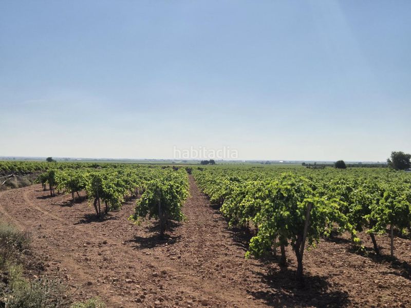 Foto 89b186e8-39a6-4157-8d8a-2405edaf0e65. Finca rústica a Campo de Criptana