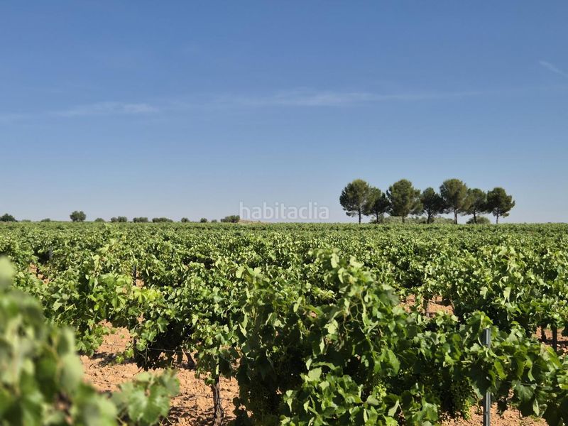 Foto a32b4254-00d0-42ac-a0e5-bab126a59501. Finca rústica a Campo de Criptana