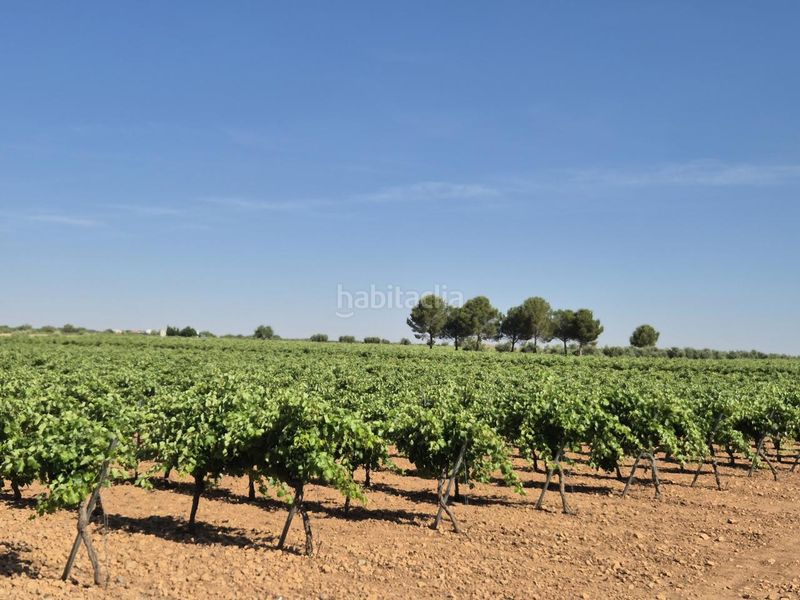 Foto caebfd66-0457-4973-9043-b0ccf01d03b5. Finca rústica a Campo de Criptana