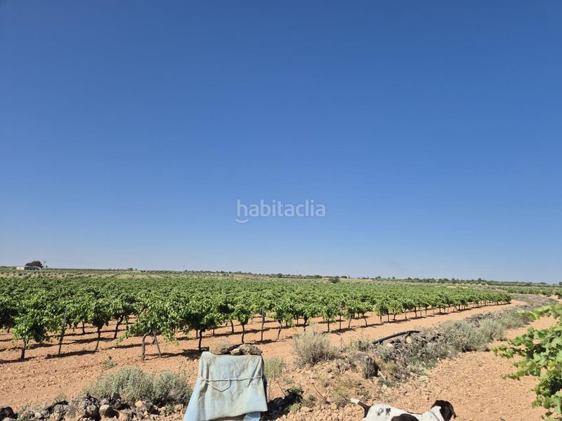 Foto ff8e3837-1eda-4248-bf78-6e3e9694a35c. Finca rústica a Campo de Criptana