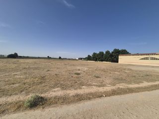 Terrain résidentiel  . constitución. Por solo 25.000  más que un chalet... puedes tener 6.156 m para