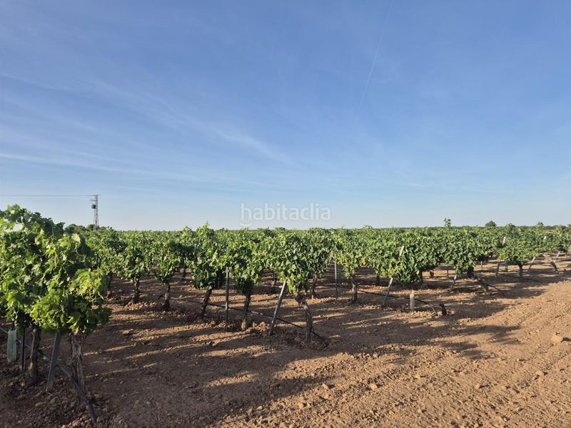 Foto 048f5d16-f421-4990-bd00-8a255ebc13df. Finca rústica a Socuéllamos