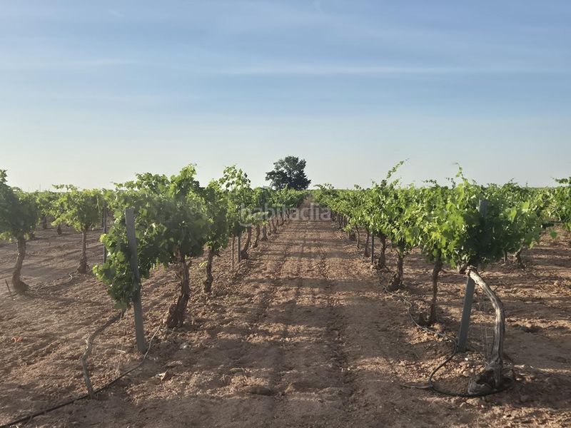 Foto 0ceafedb-ce0a-4373-8d02-43dd278229ad. Finca rústica a Socuéllamos