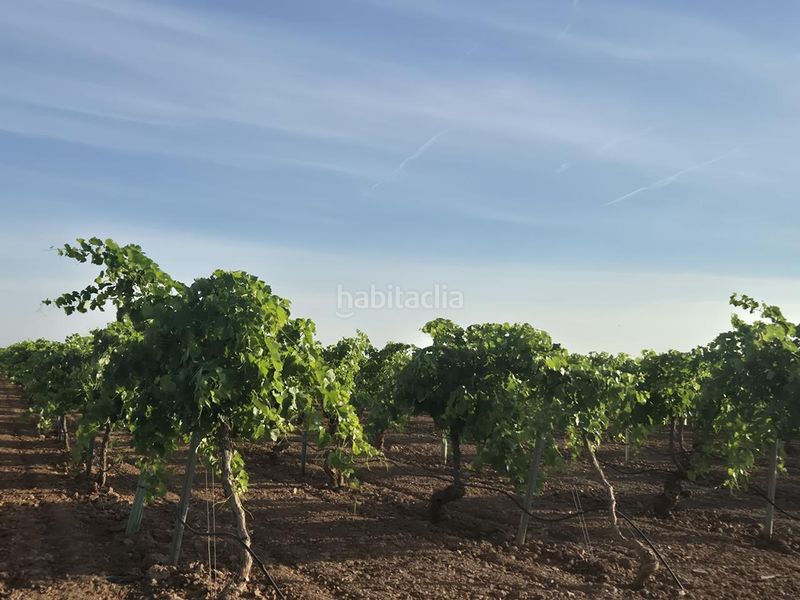 Foto bbee6433-52b8-4dc0-9f83-3f78892d1ae6. Finca rústica a Socuéllamos