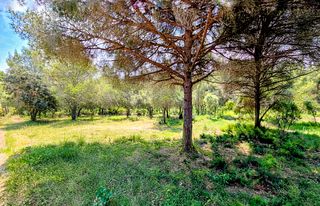 Finca rústica a Fornells-Aiguablava. Exclusiu terreny en venda a 350m del mar en fornells aiguablava