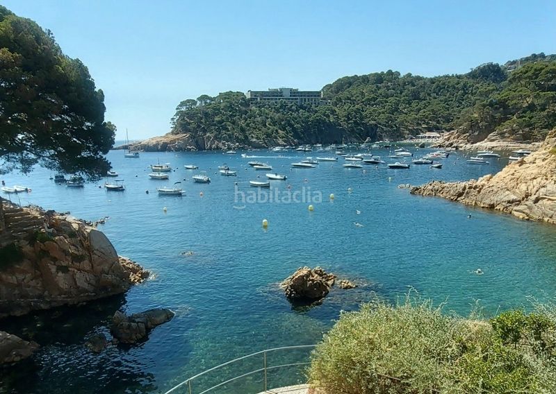 Foto db52573d-2748-4fb0-9ed8-1076d4c89549. Finca rústica a Fornells-Aiguablava Begur