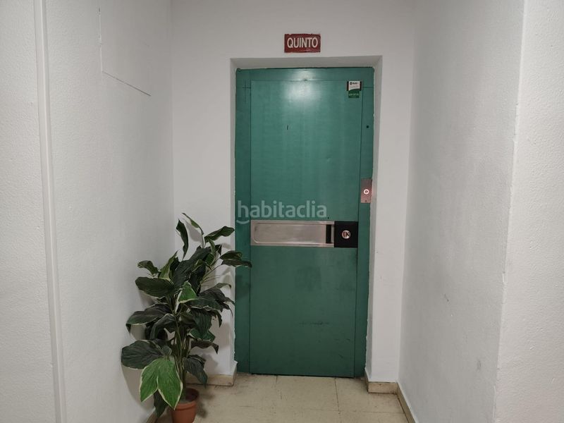 Foto 789aeaf4-adde-49a4-aa78-2d3dc8790205. Àtic a El Acequión Torrevieja