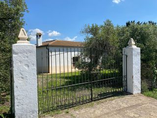Landgut in Arcos de la Frontera