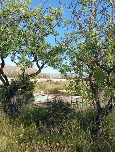 Foto 83f6b9b8-624b-4182-8da3-a54b0c6a9f7a. Finca rústica a La Alcoraya Alicante
