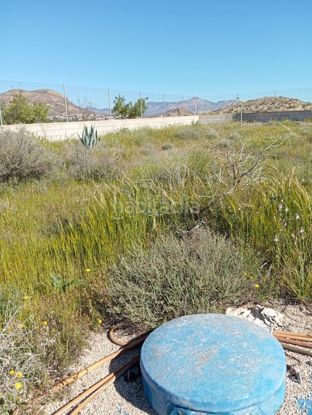 Foto a3d3a217-dc20-46c3-8175-991c675c6694. Finca rústica a La Alcoraya Alicante