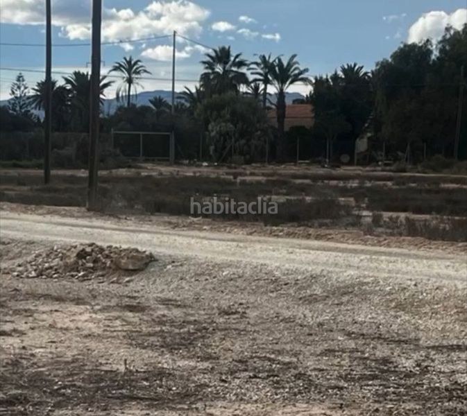 Foto 96e07837-9d10-4748-b640-c51d06ec3293. Finca rústica a La Foia - Daimés - Asprella Elche / Elx