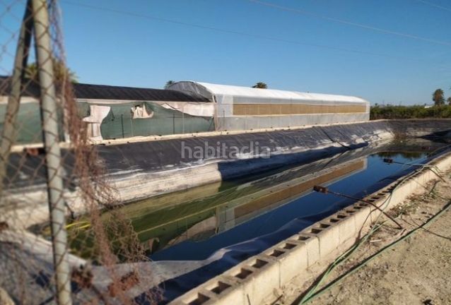 Foto 52c46daf-a35b-49b8-a30e-509a9e5134da. Finca rústica a Alzabares Elche / Elx