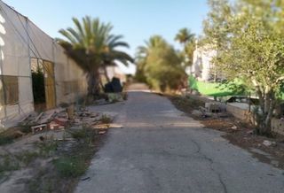 Rural plot in Alzabares. Terreno edificable a la venta