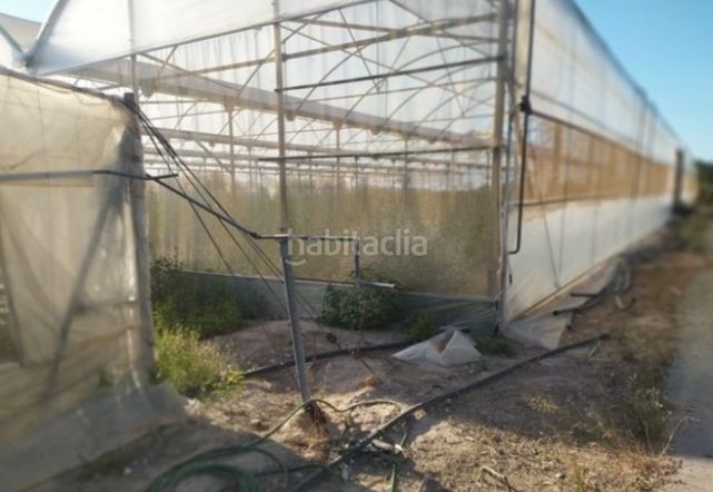 Foto 62125fb5-a796-4459-b26d-4cd7f208f7d5. Finca rústica a Alzabares Elche / Elx