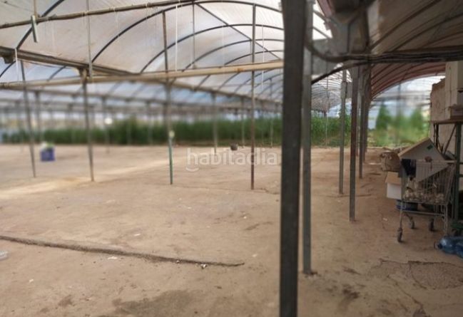 Foto be5a40cf-d266-4f38-ad94-981513af9ceb. Finca rústica a Alzabares Elche / Elx