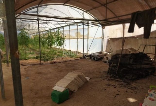 Foto f3bd01e5-fd9a-4722-970d-47087f187b92. Finca rústica a Alzabares Elche / Elx
