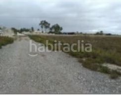 Foto c00f1beb-b3ab-41ca-9140-921114a9cede. Finca rústica a La Foia - Daimés - Asprella Elche / Elx