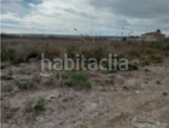 Foto d619c31c-358c-43da-9200-d9586eadbc66. Finca rústica a La Foia - Daimés - Asprella Elche / Elx