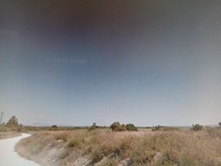 Finca r�stica en La Marina. Parcela a la venta
