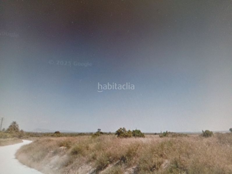 Foto 0b714c0d-37fb-4ea3-8bba-d9be7ee243b0. Finca rústica a La Marina Elche / Elx