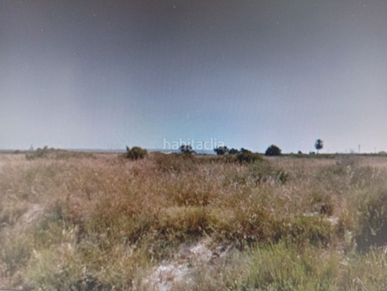 Foto 0d576d94-e11e-4867-8361-7d056dddef65. Finca rústica a La Marina Elche / Elx