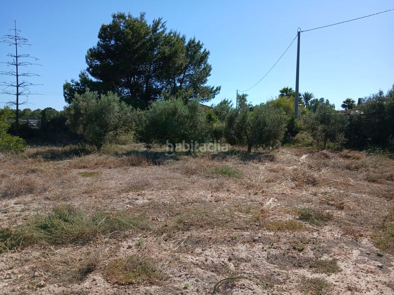Foto a0a56c01-e238-48b6-8e71-2578b7539a8b. Xalet a Torrellano Elche / Elx