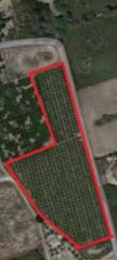 Landgut en Partida de la hoya pol�gono 2 148b. Parcela de 10.000m2 a la venta