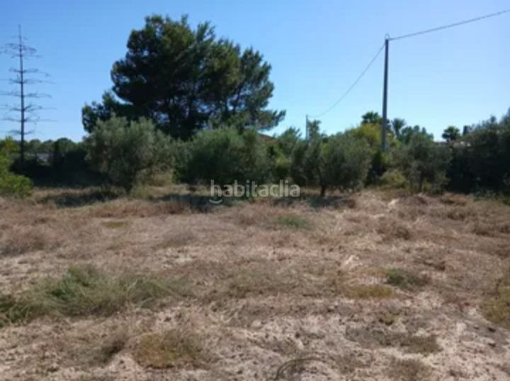 Foto eb0ea198-9c39-41e5-b0cd-781cd120d637. Casa a Torrellano Elche / Elx