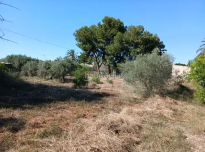 Foto 2fc63e51-6c78-4ed3-a906-86738370a2c6. Xalet a Torrellano Elche / Elx