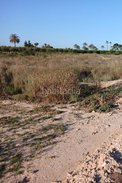 Foto 4a41b2f5-5629-4820-83fa-9ff817e55dbe. Finca rústica a La Foia - Daimés - Asprella Elche / Elx