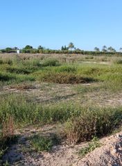 Finca rústica a La Foia - Daimés - Asprella