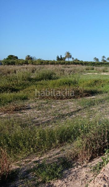 Foto c70ce64f-7736-4dc6-9676-4ce121511426. Finca rústica a La Foia - Daimés - Asprella Elche / Elx
