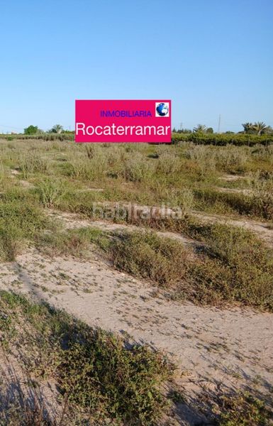 Foto fe63ce6a-5d40-4c43-8e32-7537c805aa55. Finca rústica a La Foia - Daimés - Asprella Elche / Elx