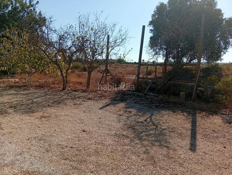 Foto 13bd685c-70da-46ad-b2e8-1083e64a57e8. House with fireplace in La Foia - Daimés - Asprella Elche / Elx
