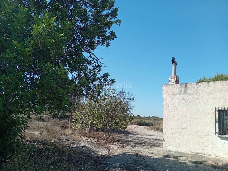 Foto b1e45eab-08c3-4c5a-a696-f9c2a9a5bdc9. House with fireplace in La Foia - Daimés - Asprella Elche / Elx