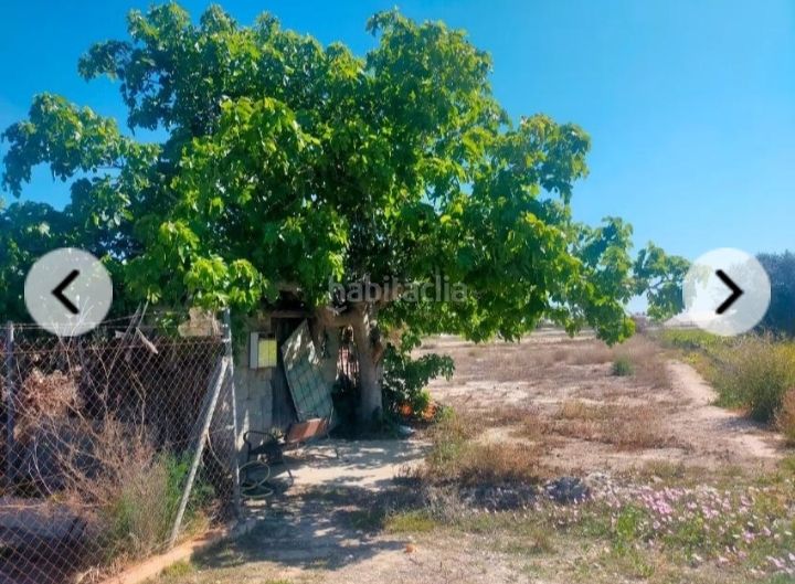 Foto 56988e83-4545-4a48-b05a-d98f2e8f64b6. Finca rústica a La Foia - Daimés - Asprella Elche / Elx