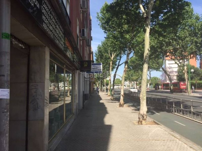 Foto 4bfd82c5-c458-4f24-a3ee-0bcf73b1ae8f. Local comercial a San Gil Sevilla