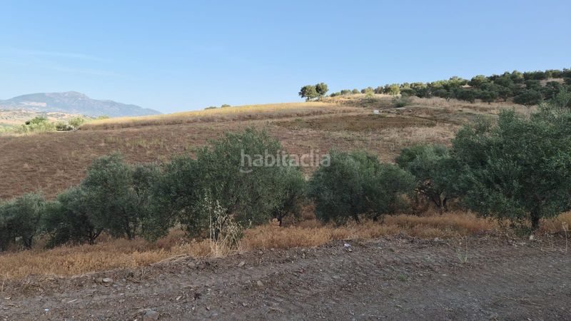 Foto b687d797-04a7-4495-a9ba-f8fb48beef6e. Finca rústica a Álora