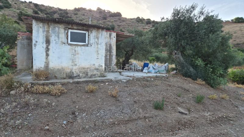 Foto d7059aef-e8eb-4f43-8b00-eb43b8983862. Finca rústica a Álora