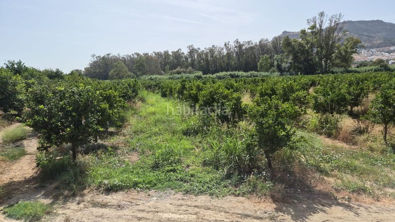 Foto 52e3b57a-7855-486f-96b2-348ce97d4d6f. Finca rústica a Pizarra