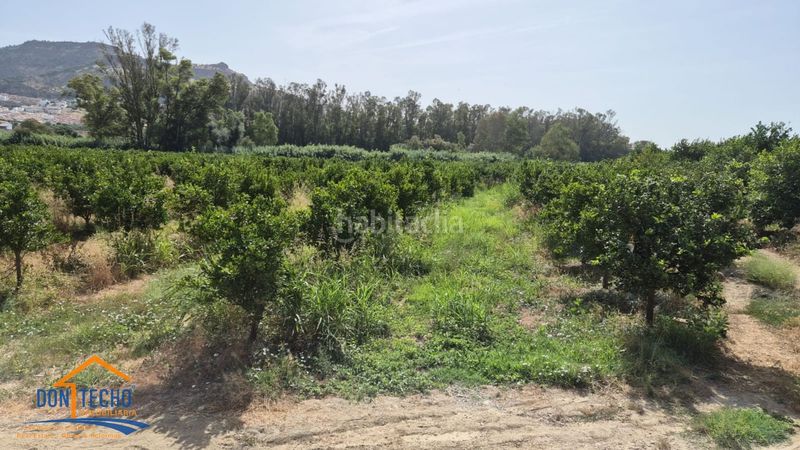 Foto a896ffe7-a4bb-4fd8-be21-fe49c8b4923a. Finca rústica a Pizarra