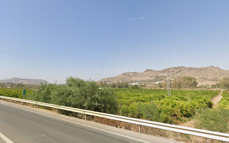 Foto b8b7b73a-a7e0-49c5-9484-0a87020a54d5. Finca rústica a Pizarra