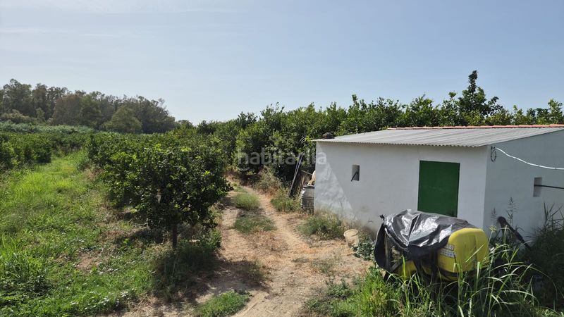 Foto bfc038dd-b24d-447d-b371-1dd1ea5d97fe. Finca rústica a Pizarra